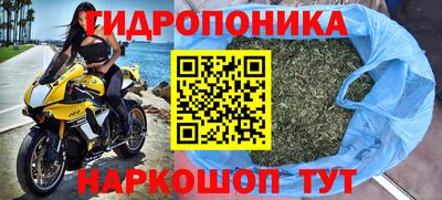 прущие крисы Уссурийск