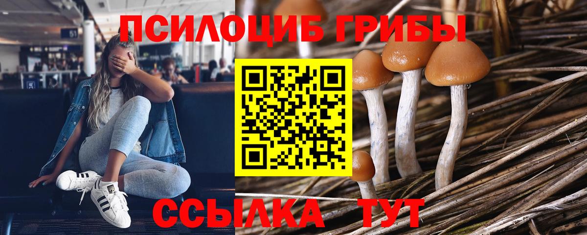 дарнет шоп  Вход с VPN  Сердобск  Галлюциногенные грибы MAGIC MUSHROOMS  Псилоцибиновые грибы мухоморы 