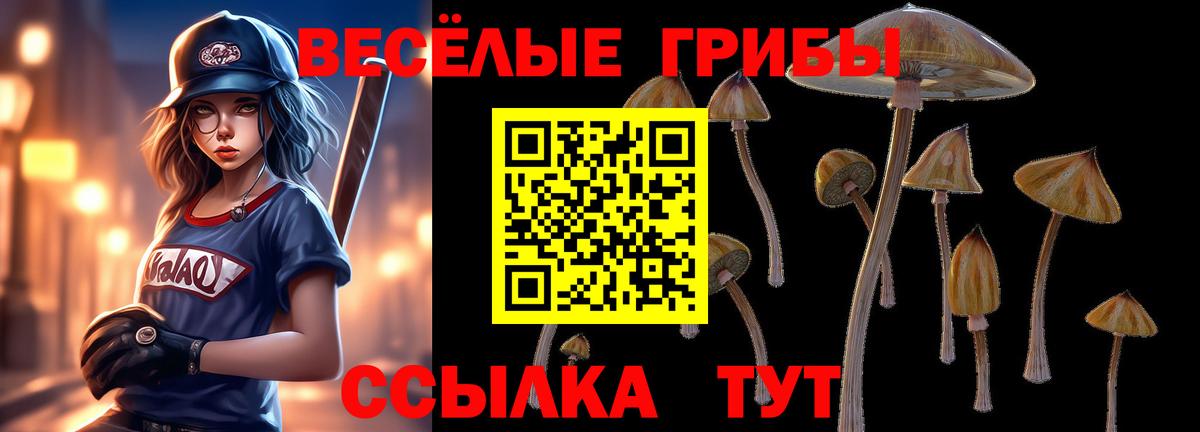 Галлюциногенные грибы MAGIC MUSHROOMS Сердобск